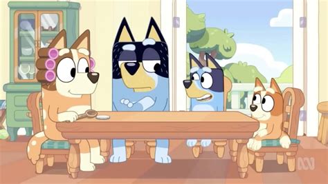 Bluey Banned In The Usa Disney Has Removed An Episode Of Bluey From