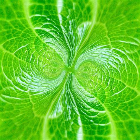 Bright Green Summer Leaf Abstract Background Textures Templates Stock
