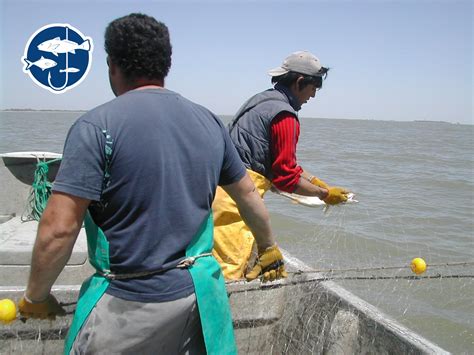 Pesca Sustentable Fundación Aquamarina