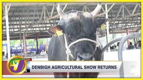 Denbigh Agricultural Show Returns Tvj Business Day Aug 1 2022 Youtube