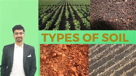 Types Of Soils Claysiltsandloam Alluvialred Laterite Saline