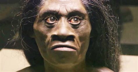 Modern Humans May Have Caused The Extinction Of Real ...