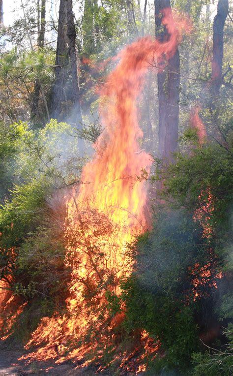 Severe trial or ordeal he had proved himself. Wildfire Burns Along Highway 29; Fire Danger Remains High ...