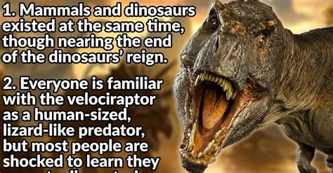 42 Facts About Dinosaurs