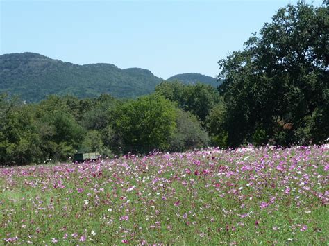 Maybe you would like to learn more about one of these? San Antonio Texas ......Texas Hill Country