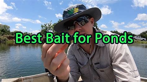 Best Bait For Bass Fishing Farm Ponds Youtube