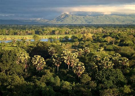 Visit Liwonde National Park In Malawi Audley Travel