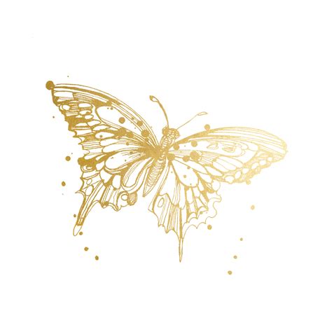 Gold Butterflies Png Picture Png Mart