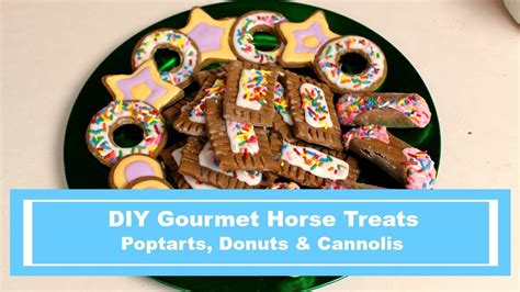 Diy Gourmet Horse Treats Poptarts Donuts And Cannolis Homemade Horse
