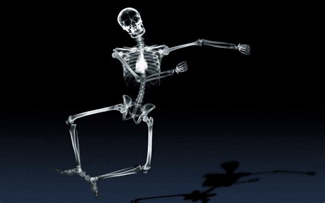 Skeleton Full Hd Wallpaper And Background Image 1920x1200 Id173188