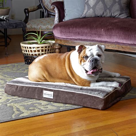 Our Best Dog Beds And Blankets Deals Orthopedic Dog Bed Dog Bed Cool