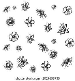 Vector Hand Drawn Flowers Illustration Pattern Stock Vector Royalty