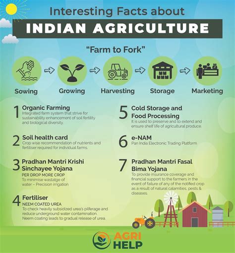 Agriculture Year In India Farming Equipment
