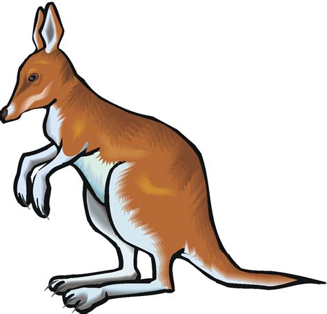 Kangaroo Clipart Free Images Clipartix