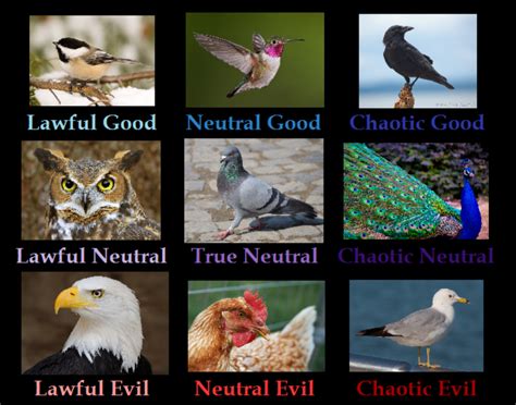 What Dungeons And Dragons Alignment Are You Chaotic Evil Veterinary