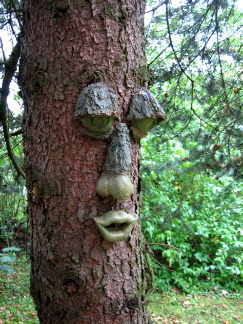 Jeder Baum Hat Sein Eigenes Gesicht Foto And Bild Pflanzen Pilze