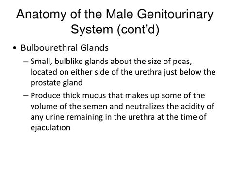 Ppt Male Reproductive Medicine Powerpoint Presentation Free Download