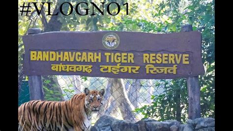 My Trip To Bandhavgarh National Park Vlog No 1 YouTube