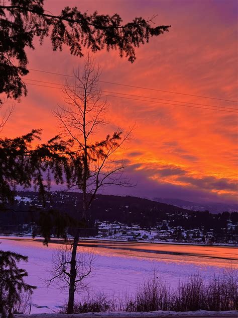 Oc Sunset Serenade Shuswap Lake Sunset