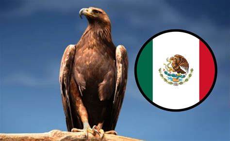 ¿qué Significa El águila En El Escudo Nacional De México