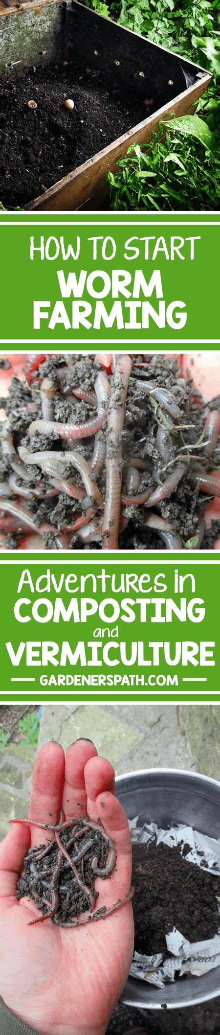 Earthworms Are Amazing Garden Pals And Powerful Composters Learn How