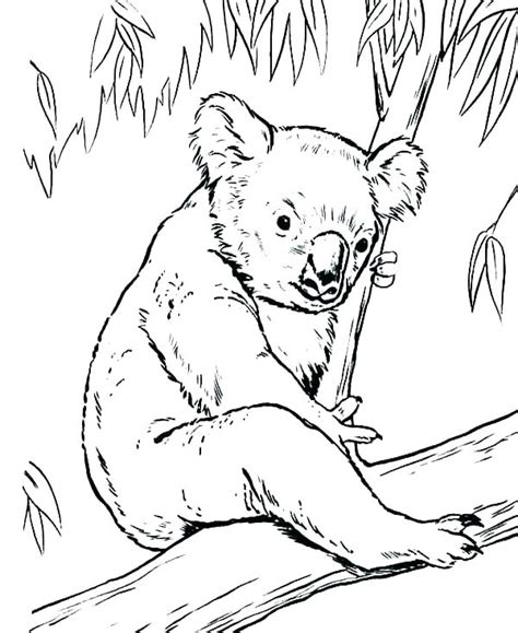 Lions are one of the most popular subjects for coloring. Lion Cub Coloring Pages at GetColorings.com | Free ...