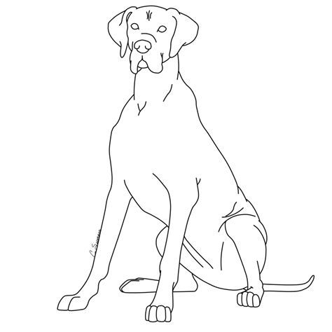 Great dane dog breed information. Great Dane Dog Coloring Pages - Coloring Home