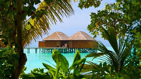water bungalows wallpaper other nature wallpapers in format for free download