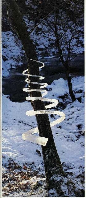 Andy Goldsworthy Ice Spiral Tree Soul