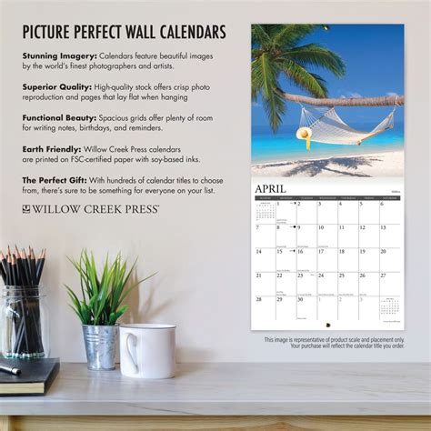 Cats Tuxedo 2024 Wall Calendar