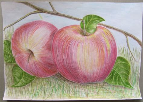 2 Äpfel - Zeichnungen von G K | kunstnet