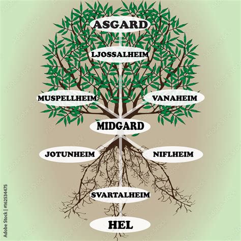 Vetor De Yggdrasil Vector World Tree From Scandinavian Mythology Ash