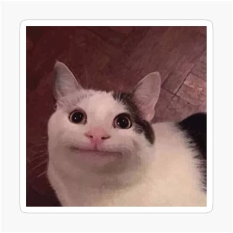 Meme Cat Smile
