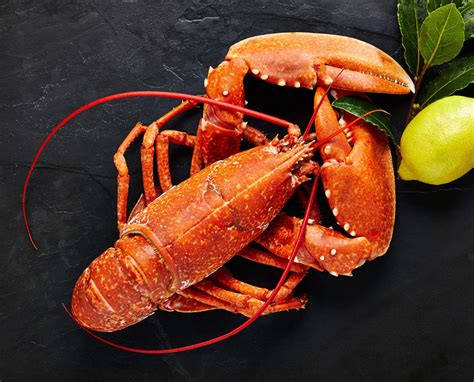 Buy Cooked Large Lobster Online Hebridean Food Company