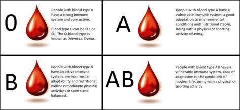 Combining the abo and rh factor blood groups, there are a total of eight. The Best Diet for Your Blood Type