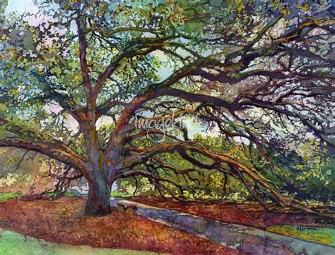 Stunning Live Oak Trees Artwork For Sale On Fine Art Prints