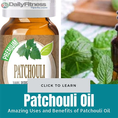 Amazing Uses Benefits And Recipes Of Patchouli Oil