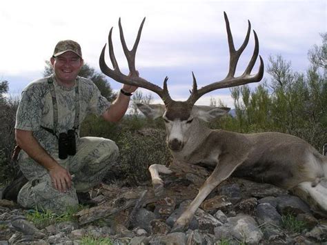Mexicos Record Mule Deer Mexico Hunting