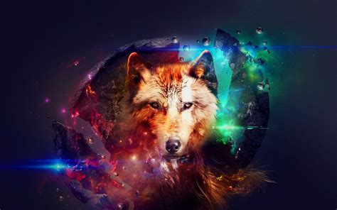 Galaxy Wolf Desktop Wallpapers Wallpaper Cave