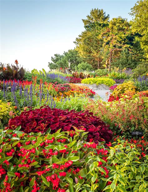 Mn Arboretum Magazine June July 2023 By Minnesota Landscape Arboretum