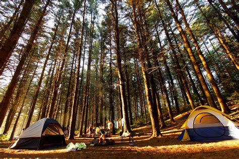 Algonquin Park Campgrounds And Best Campsites Algonquin Park Blog