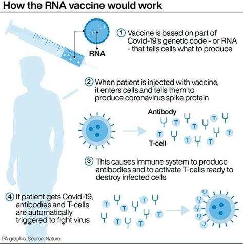 Astra zeneca's news if very good indeed. Rollout of Covid-19 vaccine could start before Christmas