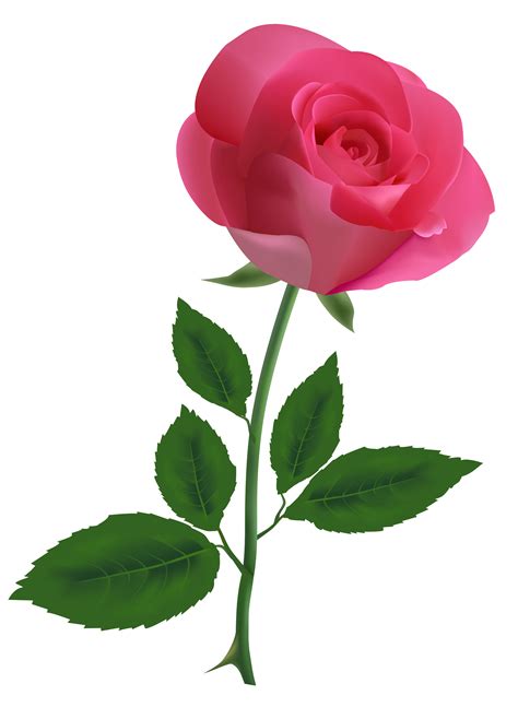 Pink Rose Clipart Png Image Rose Flower Png Flower Backgrounds Rose
