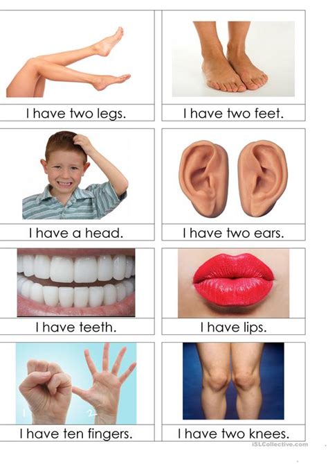Match words and pictures (matching exercise) and write the wo. body parts flashcards worksheet - Free ESL printable ...