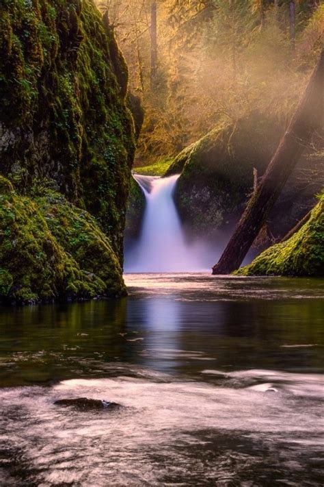 Natur Wald Bäume Wasserfall Bach Moos 640x960 Iphone 44s