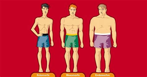 Somatotipos Tipo De Cuerpo Hombre Tipos De Cuerpo Tipos De Cuerpo