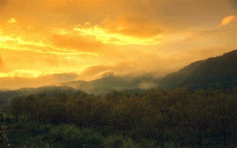 Nature Landscape Sunset Mountains Clouds Trees Sky Yellow Mist
