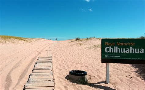 Chihuahua La Exclusiva Playa Nudista De Uruguay InfoChihuahua