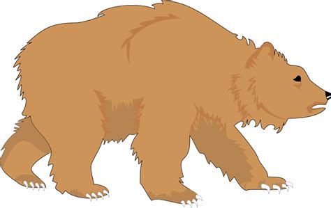 Download Download Grizzly Bear svg for free - Designlooter 2020 👨‍🎨