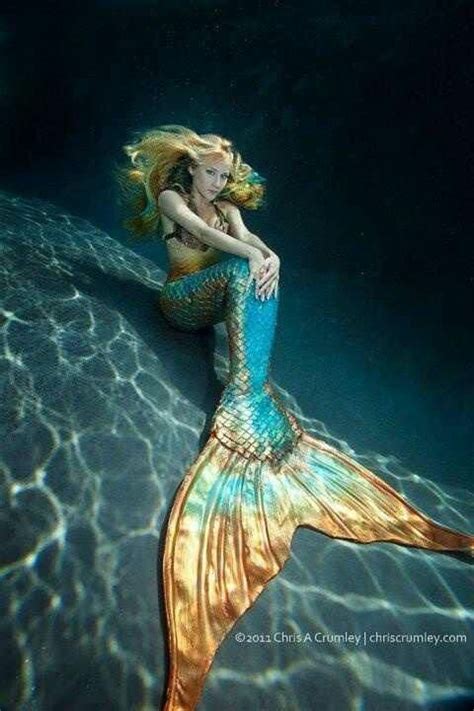 Real Mermaids Mermaids And Mermen Mermaids Exist Pretty Mermaids